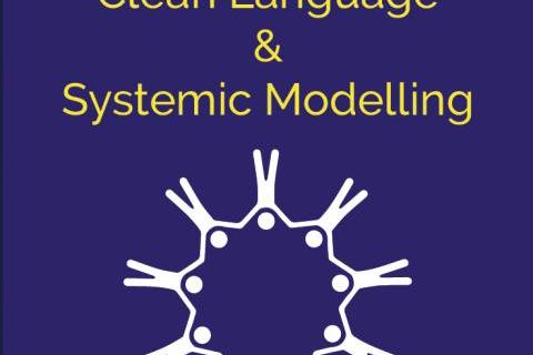 CleanLanguage-SystemicModelling-DVD.jpg