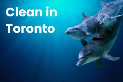 clean-in-toronto_copy.jpg
